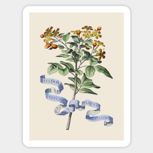 Antique Flower Botanical Illustration Sticker